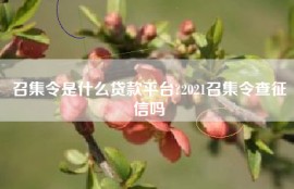 召集令是什么贷款平台?2021召集令查征信吗