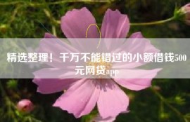 精选整理！千万不能错过的小额借钱500元网贷app