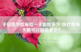 平安意外险保险一天能赔多少?医疗费每天都可以报销多少？