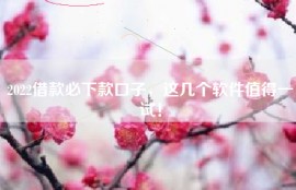 2022借款必下款口子，这几个软件值得一试！