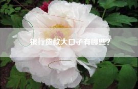银行贷款大口子有哪些？