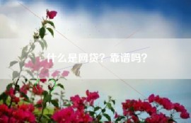 什么是网贷？靠谱吗？