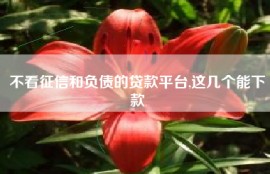 不看征信和负债的贷款平台,这几个能下款