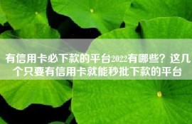 有信用卡必下款的平台2022有哪些？这几个只要有信用卡就能秒批下款的平台