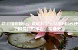 网上借钱被拒，试试几个无视黑白100%秒下网贷贷款平台，精选分享