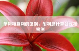 单利和复利的区别，附利息计算公式和案例