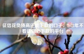 征信花负债高还能下款的口子，2022年不看征信必下款的平台