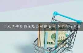 十大口碑好的保险公司排名 从多个指标来看