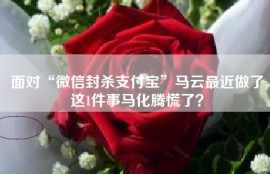 面对“微信封杀支付宝”马云最近做了这1件事马化腾慌了？