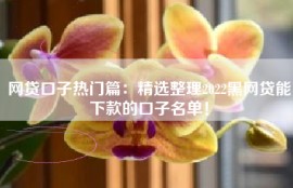 网贷口子热门篇：精选整理2022黑网贷能下款的口子名单！