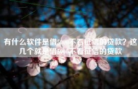 有什么软件是借5000不看征信的贷款？这几个就是借5000不看征信的贷款