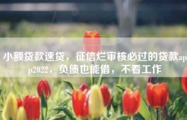 小额贷款速贷，征信烂审核必过的贷款app2022，负债也能借，不看工作