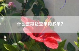 什么是期货空单和多单？