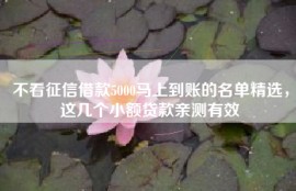 不看征信借款5000马上到账的名单精选，这几个小额贷款亲测有效