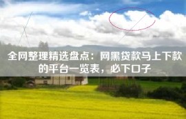 全网整理精选盘点：网黑贷款马上下款的平台一览表，必下口子
