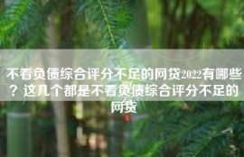 不看负债综合评分不足的网贷2022有哪些？这几个都是不看负债综合评分不足的网贷