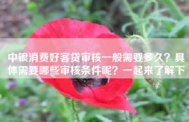 中银消费好客贷审核一般需要多久？具体需要哪些审核条件呢？一起来了解下