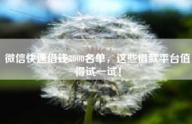 微信快速借钱3000名单，这些借款平台值得试一试！