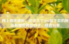 网上借钱被拒，试试几个2022能下款的网贷有哪些网贷口子，精选分享
