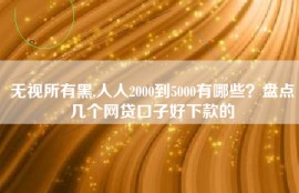 无视所有黑,人人2000到5000有哪些？盘点几个网贷口子好下款的