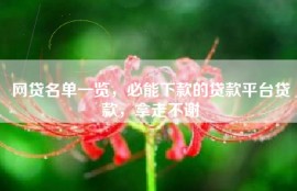 网贷名单一览，必能下款的贷款平台贷款，拿走不谢