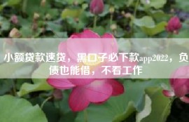 小额贷款速贷，黑口子必下款app2022，负债也能借，不看工作