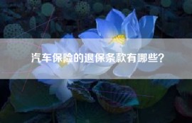 汽车保险的退保条款有哪些？