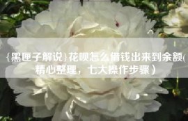 {黑匣子解说}花呗怎么借钱出来到余额(精心整理，七大操作步骤）