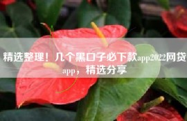 精选整理！几个黑口子必下款app2022网贷app，精选分享