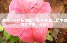 2022年10月网贷盘点：借2000不看征信小额贷款名单，分享！