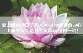 新上线小额口子人人1000-1500芝麻分550以上来拿钱，这几个贷款app值得一试！