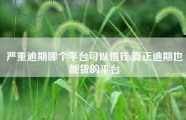 严重逾期哪个平台可以借钱,真正逾期也能贷的平台