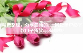 精选整理，分享最新的2022网贷黑户必下款口子贷款app有哪些?