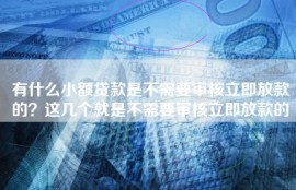 有什么小额贷款是不需要审核立即放款的？这几个就是不需要审核立即放款的