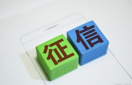 征信报告系列-个人信用报告中的个人基本信息
