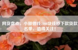 网贷盘点，小额借钱2000块钱秒下款贷款名单，值得关注！
