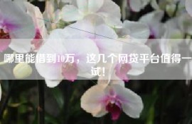 哪里能借到10万，这几个网贷平台值得一试！