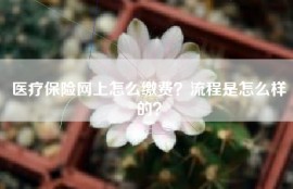 医疗保险网上怎么缴费？流程是怎么样的？