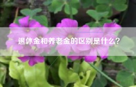 退休金和养老金的区别是什么？