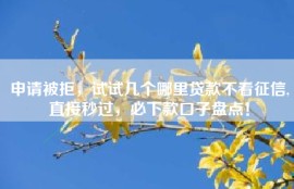 申请被拒，试试几个哪里贷款不看征信,直接秒过，必下款口子盘点！
