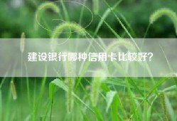 建设银行哪种信用卡比较好？