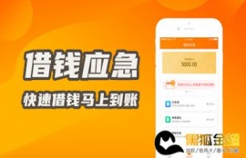 借钱应急必下款的口子 快速借钱马上到账