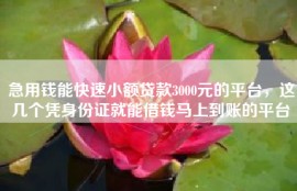 急用钱能快速小额贷款3000元的平台，这几个凭身份证就能借钱马上到账的平台