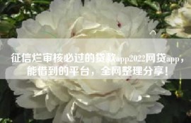 征信烂审核必过的贷款app2022网贷app，能借到的平台，全网整理分享！