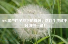 2022黑户口子秒下的有吗，这几个贷款平台值得一试！