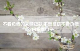 不看负债的大额贷款,不查征信不看负债的网贷新口子