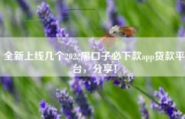 全新上线几个2022黑口子必下款app贷款平台，分享！