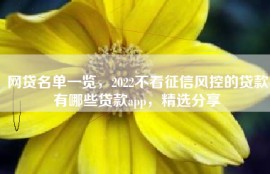 网贷名单一览，2022不看征信风控的贷款有哪些贷款app，精选分享