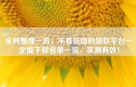 全网整理一份，不看征信的贷款平台一定能下款名单一览，实测有效！