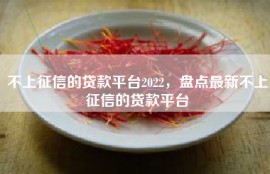 不上征信的贷款平台2022，盘点最新不上征信的贷款平台